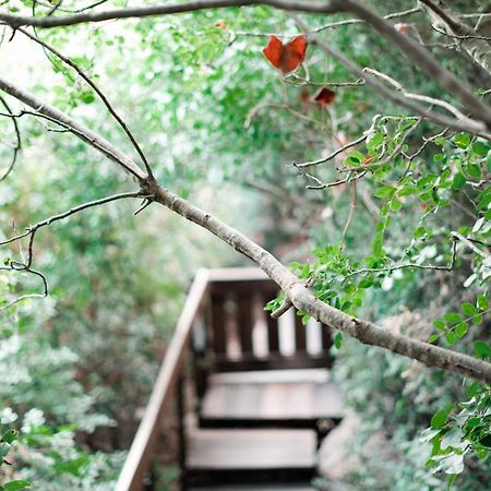 Villa Live In The Woods Mikhmannim Esterno foto