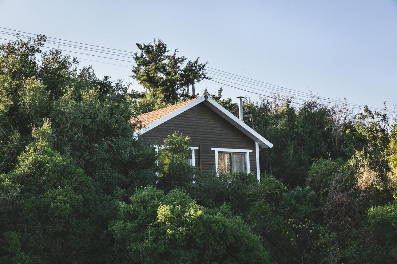 Villa Live In The Woods Mikhmannim Esterno foto