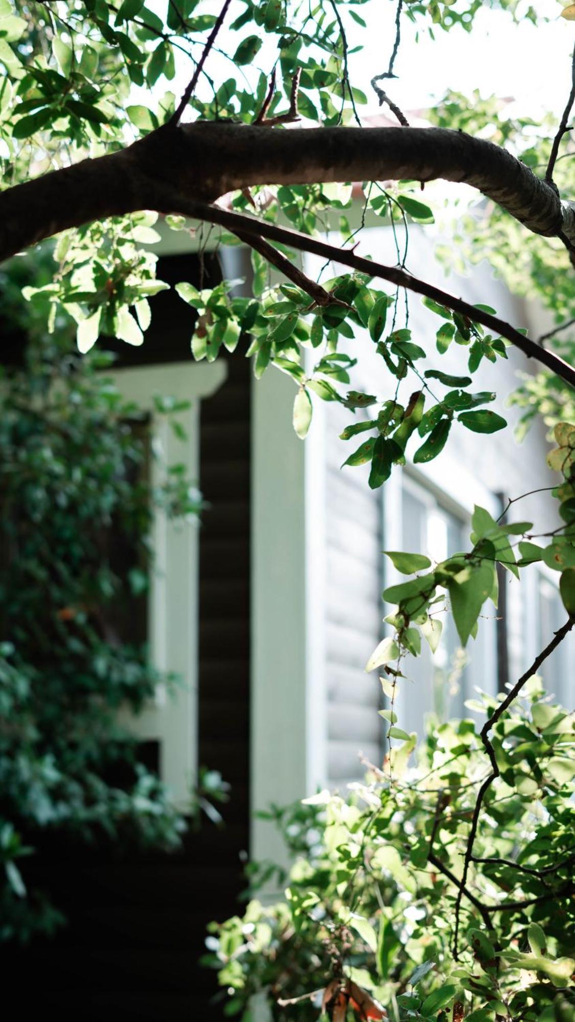 Villa Live In The Woods Mikhmannim Esterno foto